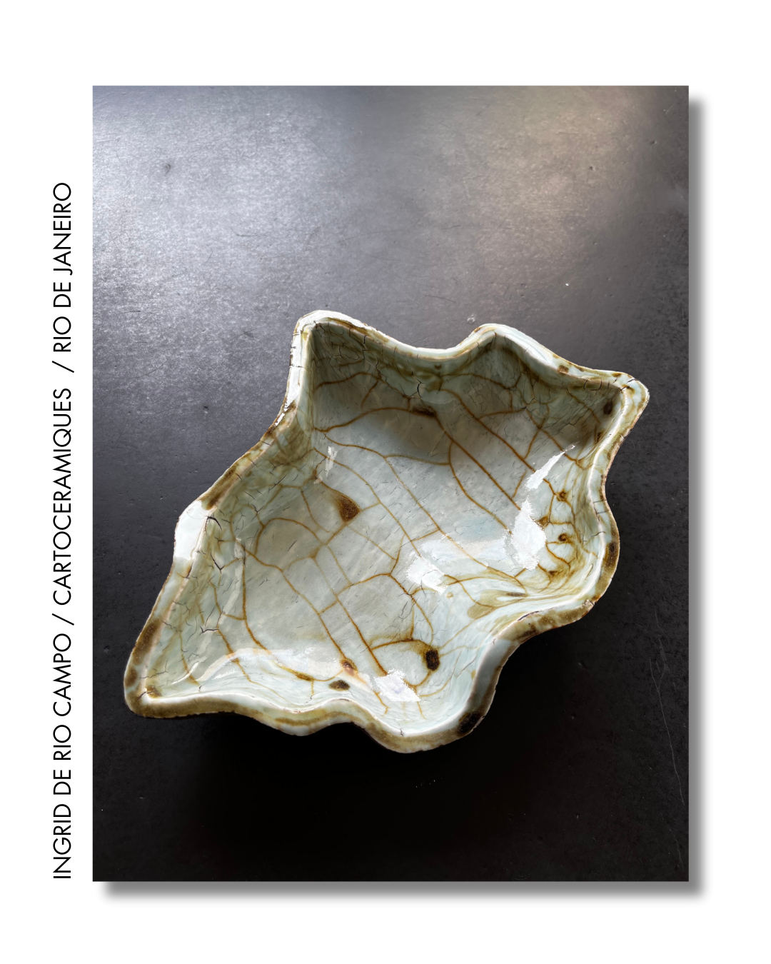 Ingrid de Rio Campo. Cartocéramiques. Le Brésil